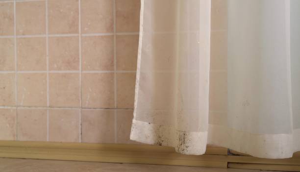Best Air Quality Testing for Mold Spores  in Saddlebrooke, AZ